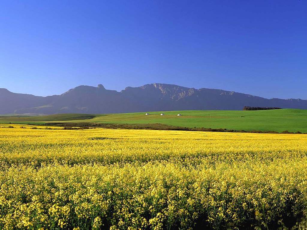 The Swellengrebel Hotel Swellendam Bagian luar foto