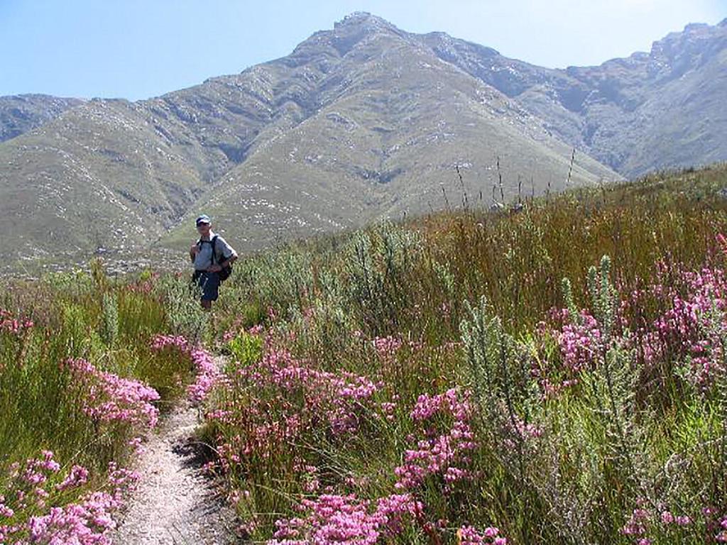 The Swellengrebel Hotel Swellendam Bagian luar foto